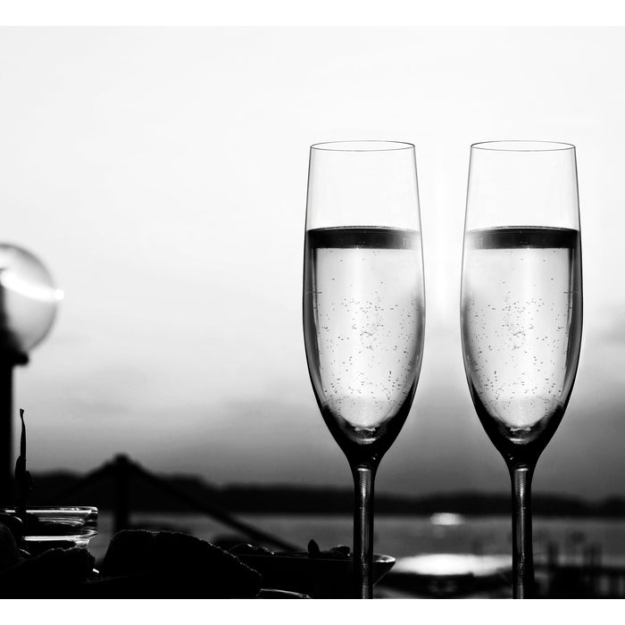 Modern House Sontell Champagneglas 6-pack 18 cl-Holykitchen