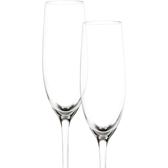 Modern House Sontell Champagneglas 6-pack 18 cl-Holykitchen