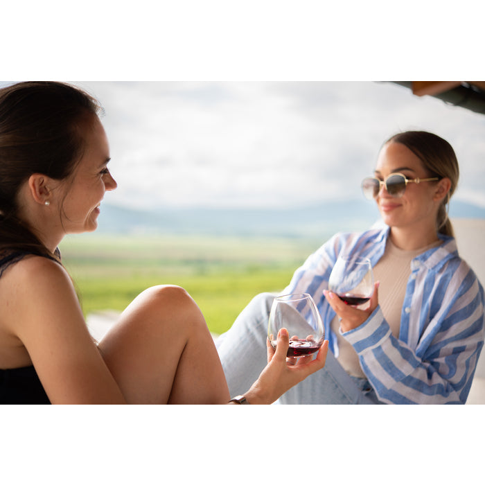 Modern House Sontell Vinglas universal 4-pack  44 cl