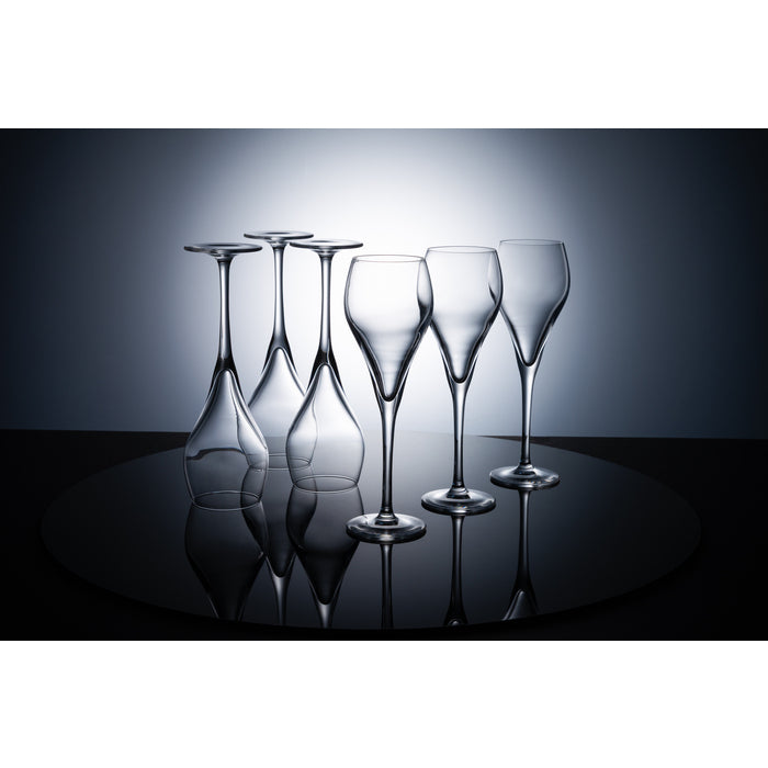 Stiernholm Bubbles Champagneglas 6-pack 16 cl-Holykitchen