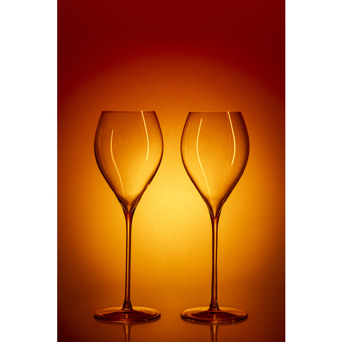 Stiernholm Elegance Champagneglas 2-pack 29 cl-Holykitchen