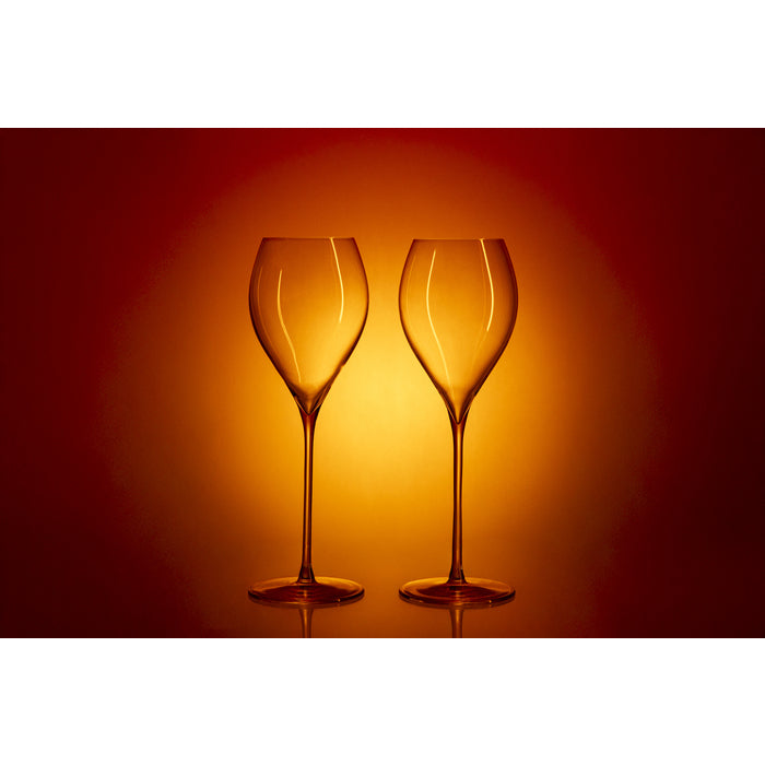 Stiernholm Elegance Champagneglas 2-pack 29 cl-Holykitchen