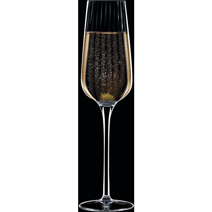 Chef & Sommelier Symetrie Champagneglas 6-pack 21 cl-Holykitchen