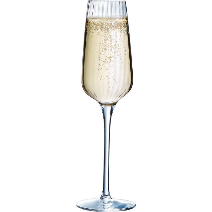 Chef & Sommelier Symetrie Champagneglas 6-pack 21 cl-Holykitchen