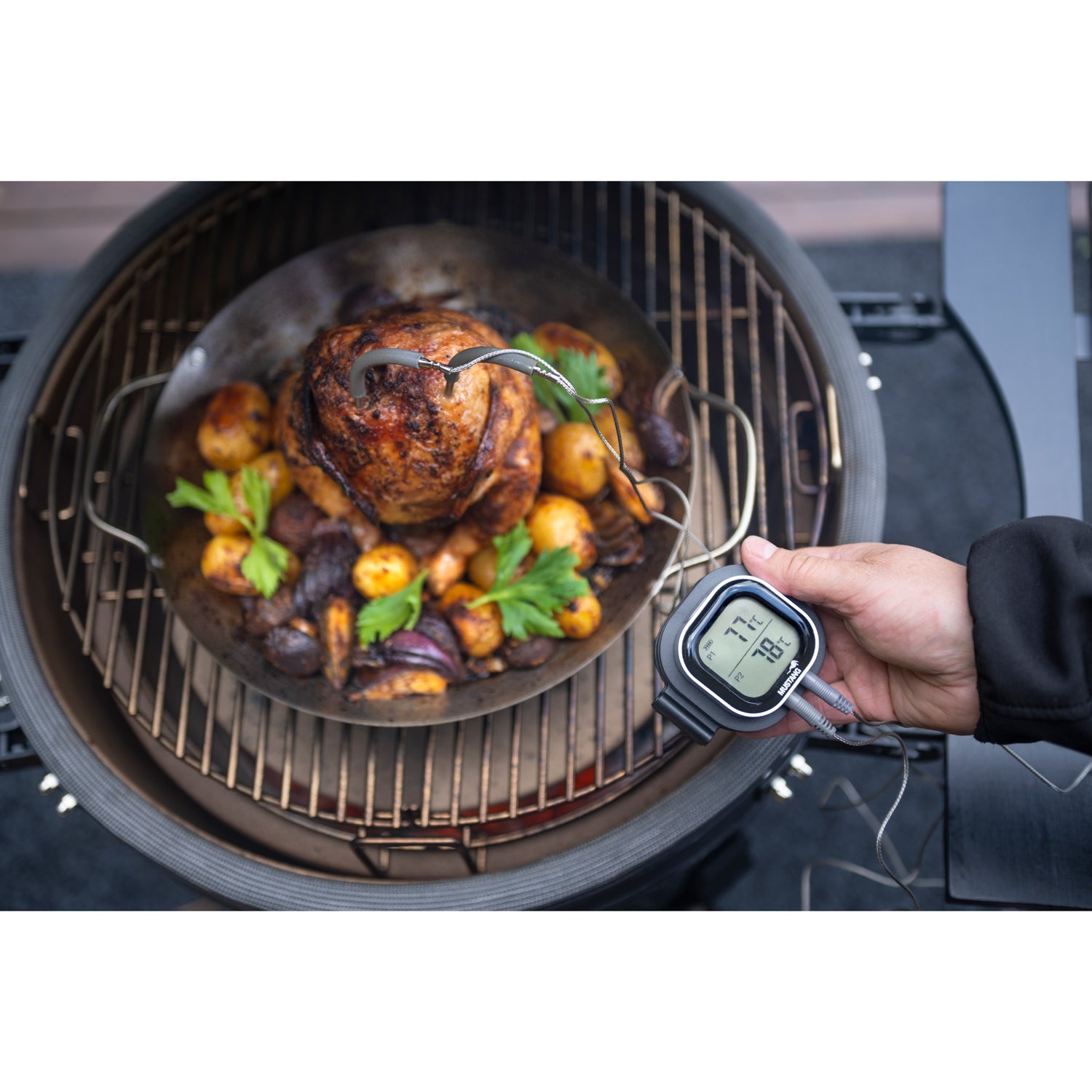 Mustang Digital thermometer-Holykitchen