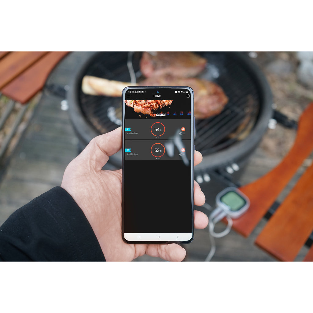 Mustang Digital thermometer-Holykitchen