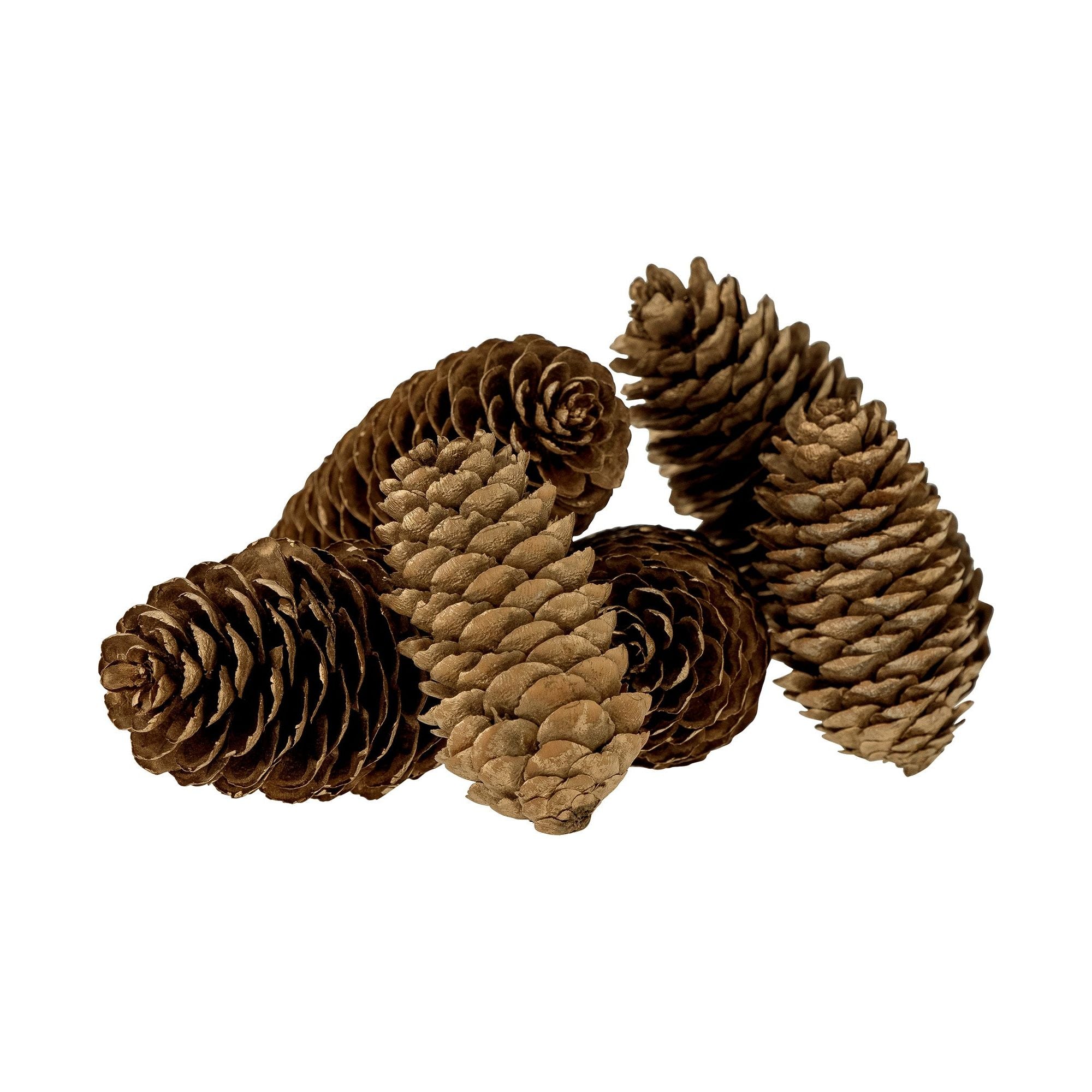Bloomingville Demis Deco, Guld, Kotte