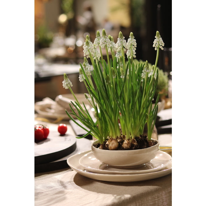 Stiernholm Maja Side Plate-Holykitchen