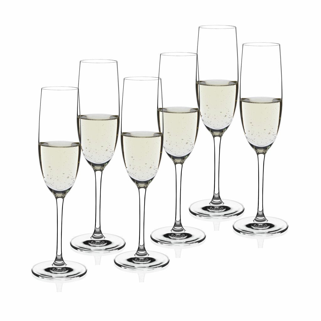 Modern House Sontell Champagneglas 6-pack 18 cl-Holykitchen