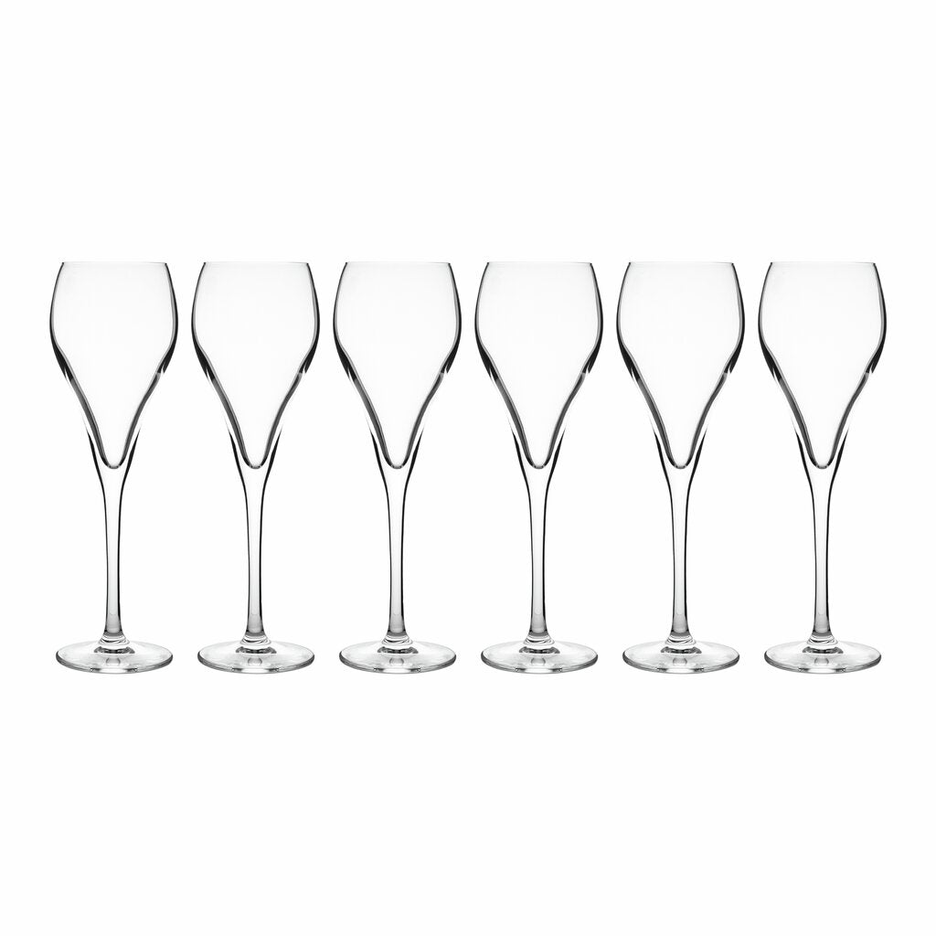 Stiernholm Bubbles Champagneglas 6-pack 16 cl-Holykitchen